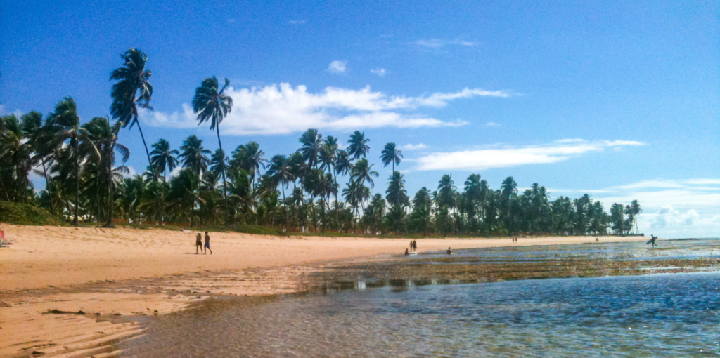 4. Praia do Forte, Bahia: tartarugas marinhas e cultura local